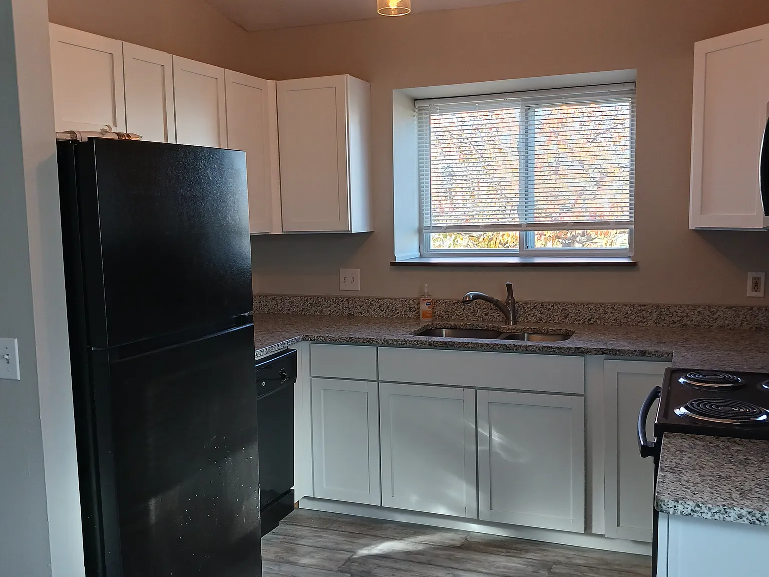 2 bed, 1000 sqft, $1,850 — Photo 4