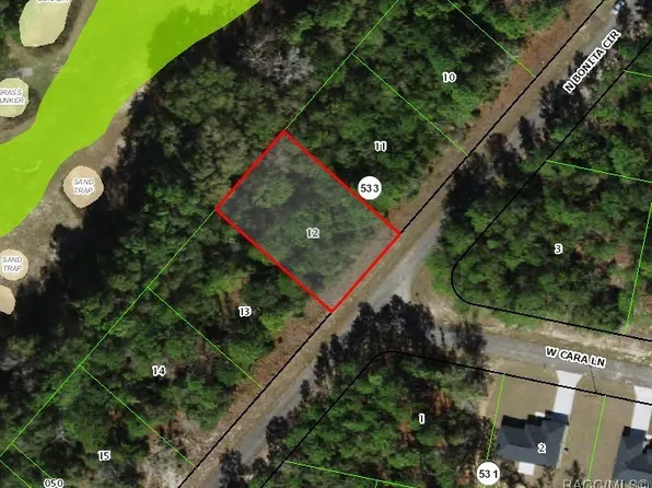 9778 N Bonita Cir, Citrus Springs, FL 34434