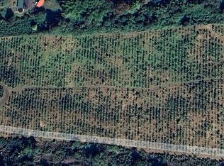 84-1174 Bruner Rd LOT 100, Captain Cook, HI 96704