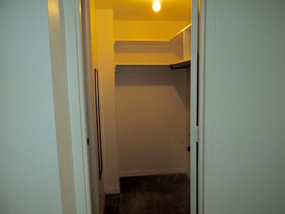 5th image of 535 N Michigan Ave APT 1810