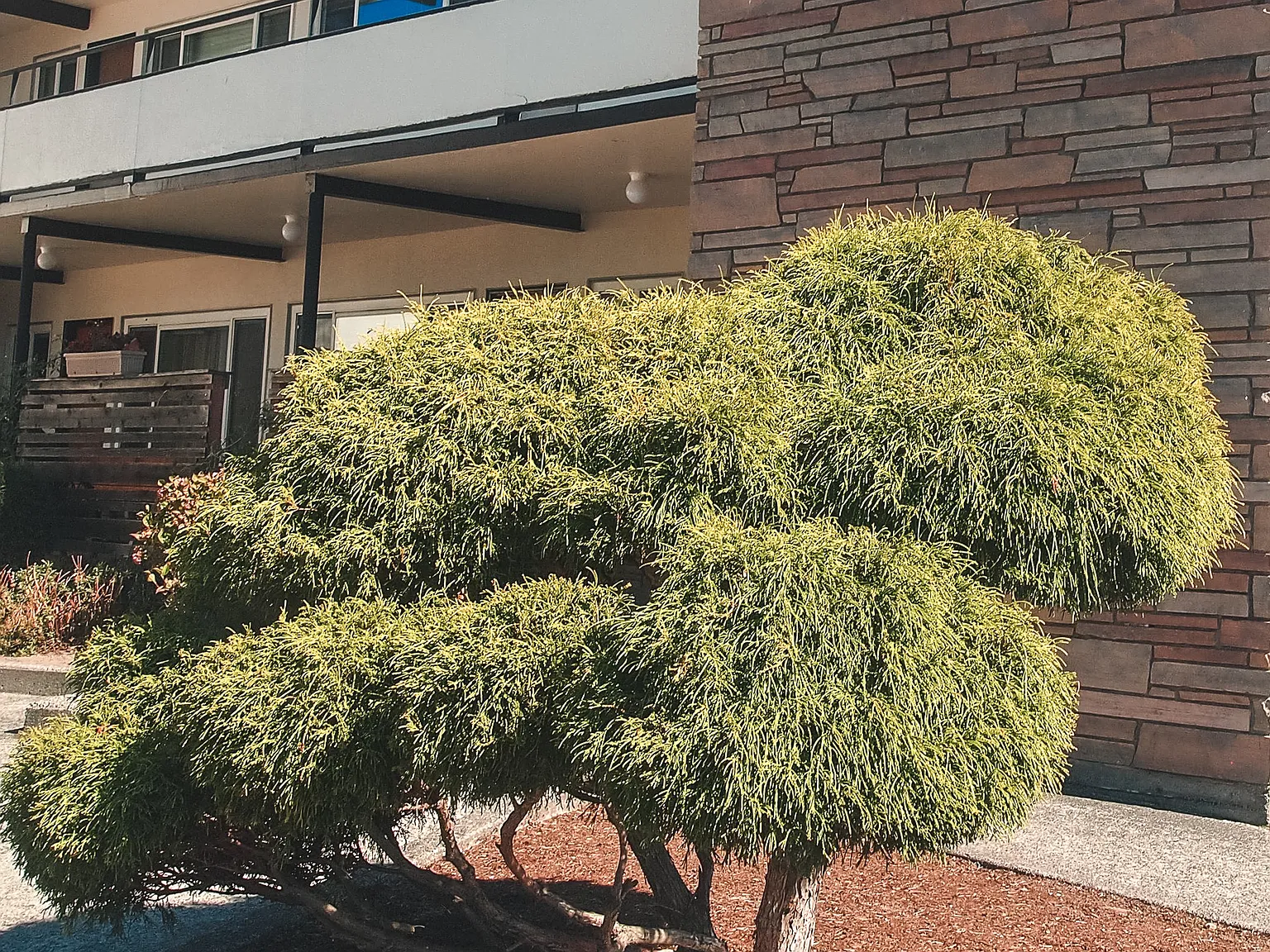 1 bed, 550 sqft, $1,500 — Photo 2