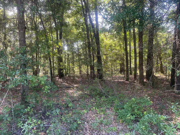 10 County Road 28, Georgetown, GA 39854