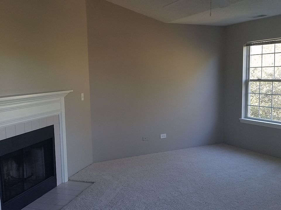 Wood-burning fireplace