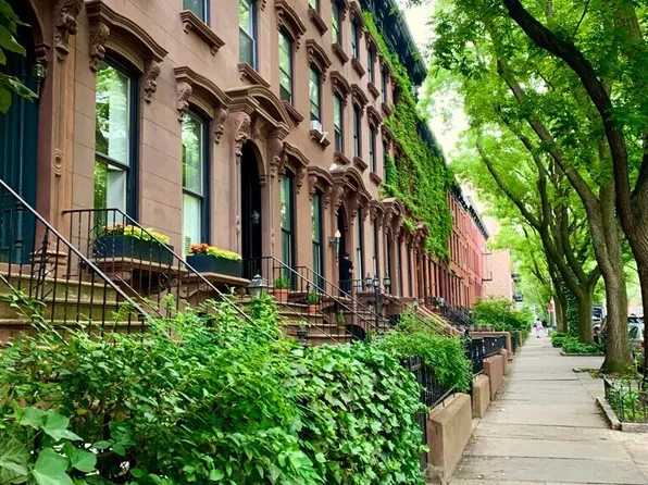 333 Adelphi Street image 25 of 26