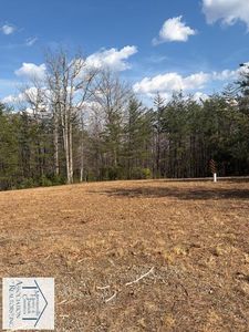 0 Timber Run Dr, Woolwine, VA, 24185