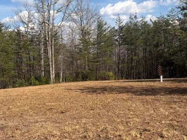 0 Timber Run Dr, Woolwine, VA 24185