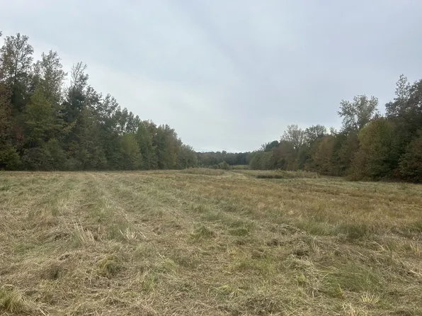 0 Clifford Hicks Rd, Camden, TN 38320