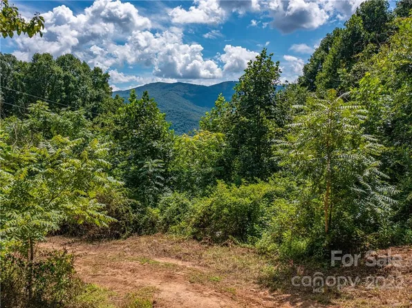 113-113A 99999 Wilson Avenue Ext, Swannanoa, NC 28778