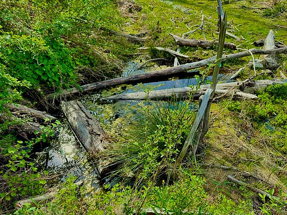 3rd image of 0 Hayfork Summit Rd