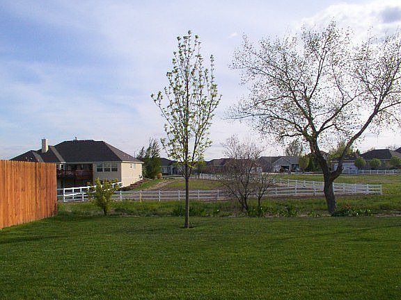 View from the back porch