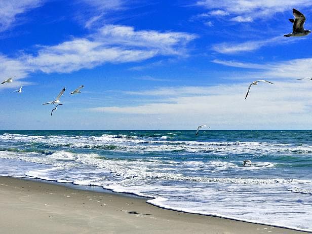 Atlantic Beach is a beach lovers paradise. This is a short walk or bike right away!