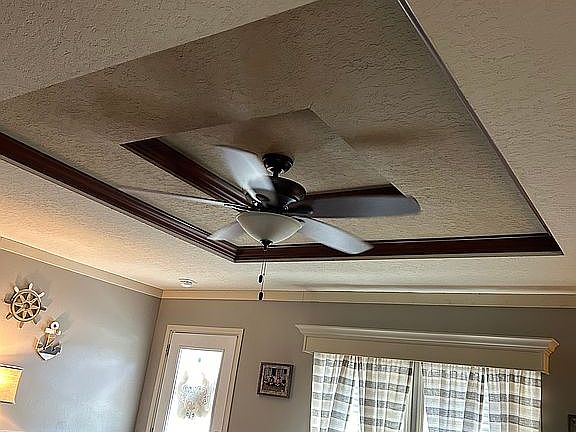 Tray ceiling in living room