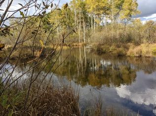 Turtle Lake Rd, Gaylord, MI 49735