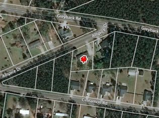 262 Allspice Dr, Summerville, SC 29483