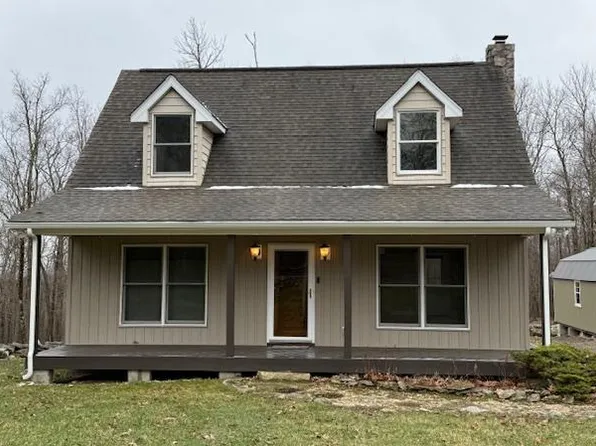 1252 Ellison Ridge Rd, Jumping Branch, WV 25969