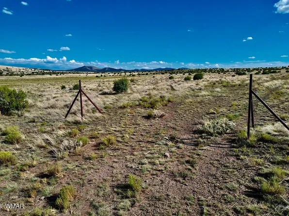 Antelope Rdg Lot 93, Vernon, AZ 85940
