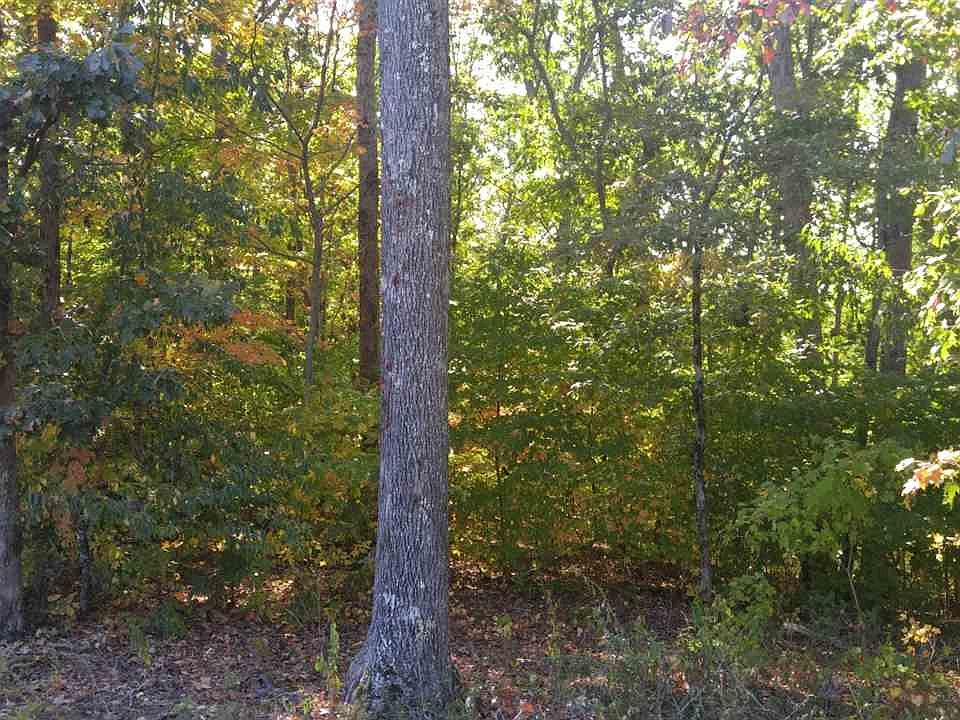 2nd image of 5590 Toestring Valley Rd