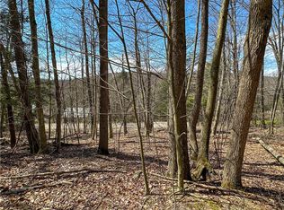 1232 Bell Hill Rd, Lindley, NY 14858