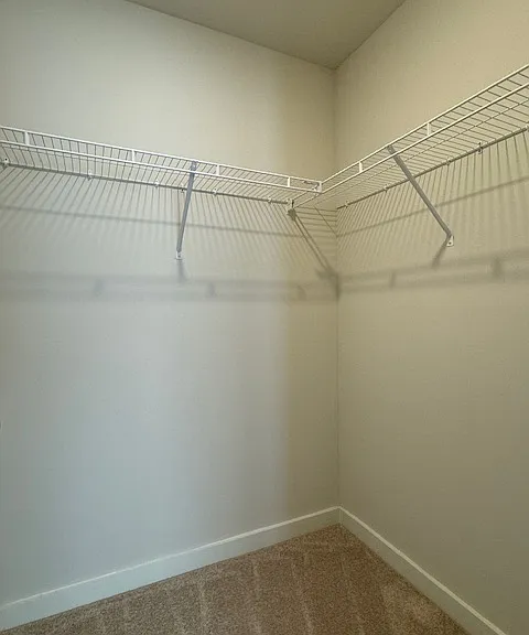 2476 Williams Ridge Dr — Photo 22