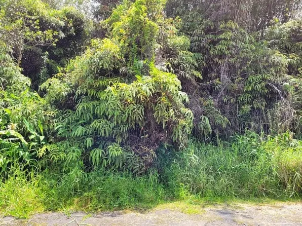 18-4199 Hino St Lot 192, Mountain View, HI 96771