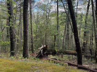 22 Woodward Trl, Sapphire, NC 28774