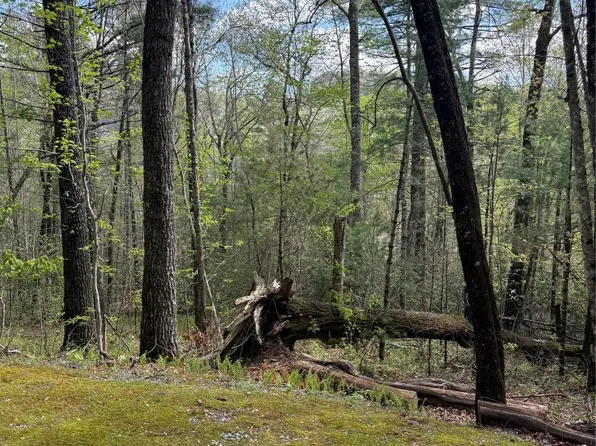 22 Woodward Trail, Sapphire, NC 28774