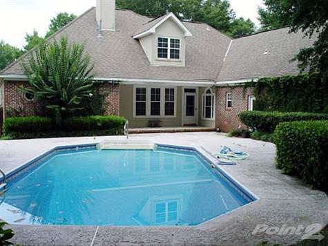 Pool and back view