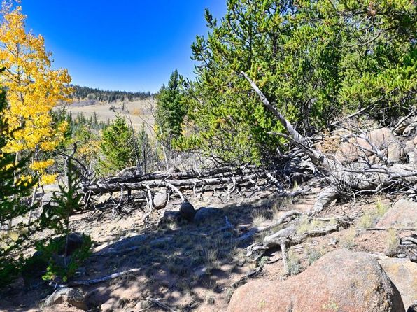 57 Flint Court, Jefferson, CO 80456