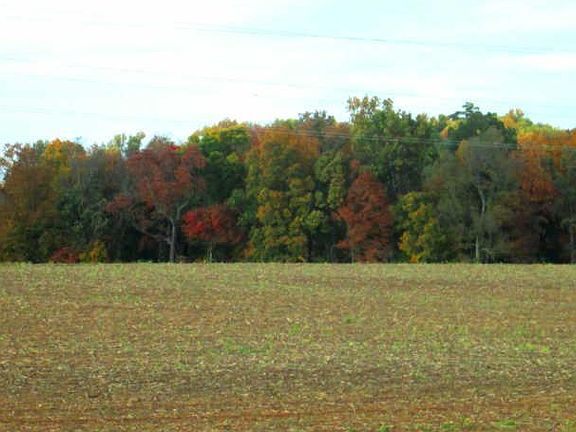 3rd image of 679 Fields Of Northmeade #679