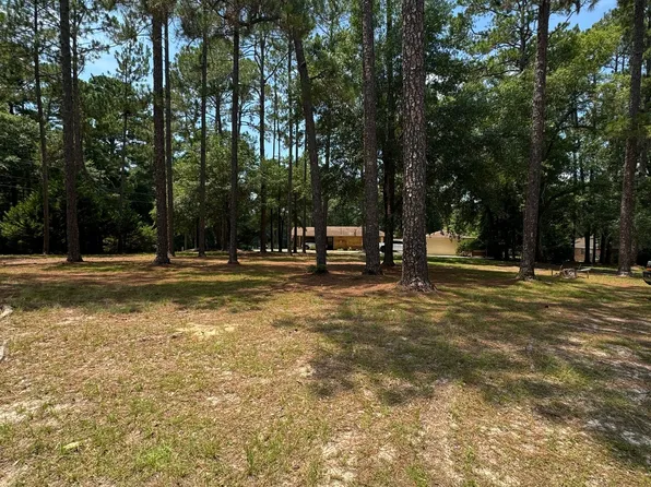 0 Little John Dr, Reidsville, GA 30453