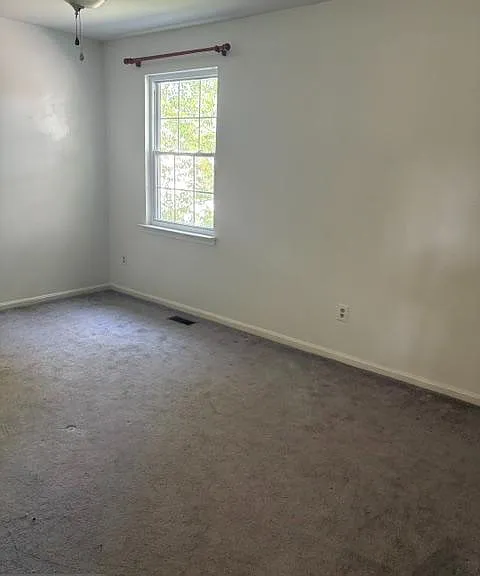 202 Cannon Pl — Photo 13