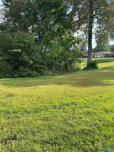 16-17-1 Jarmon Rd, Guntersville, AL, 35976