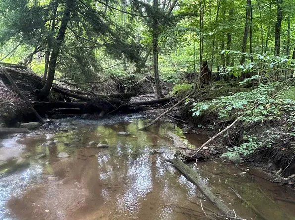 9373 E Sixteen Mile Rd, Paris, MI 49338