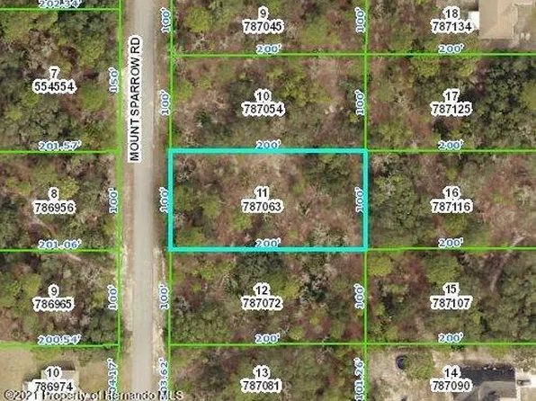 15224 Mount Sparrow Rd, Weeki Wachee, FL 34614