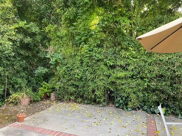 4457 Oakwood Ave #GUESTHOUSE — Photo 17