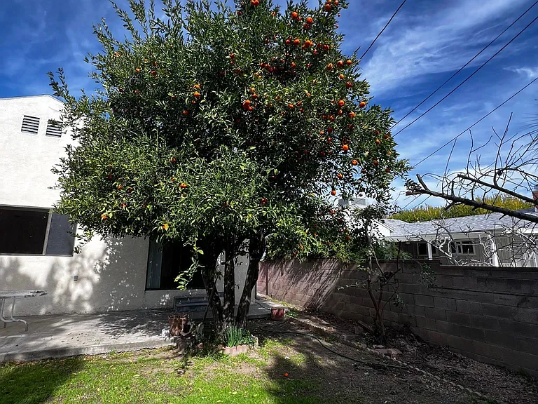 16638 Haynes St — Photo 16