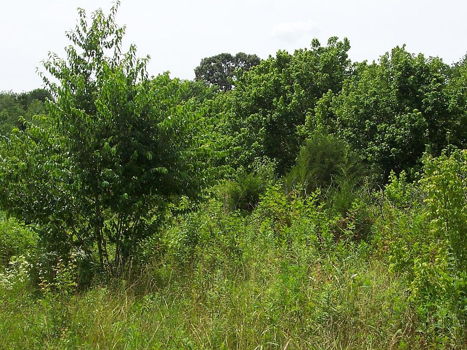 2nd image of 80 County Road 750 Lot 3