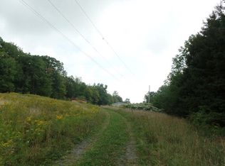 64 Gaf Lake Rd, Windsor, NY 13865