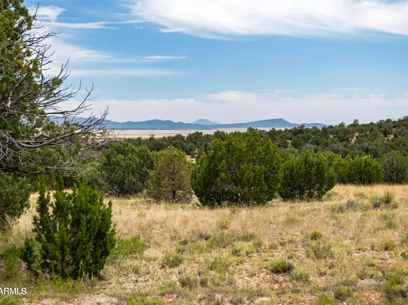 B Pine Ridge road -- #50, Seligman, AZ 86337