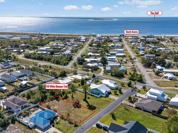 110 White Blossom Trl, Port Saint Joe, FL 32456