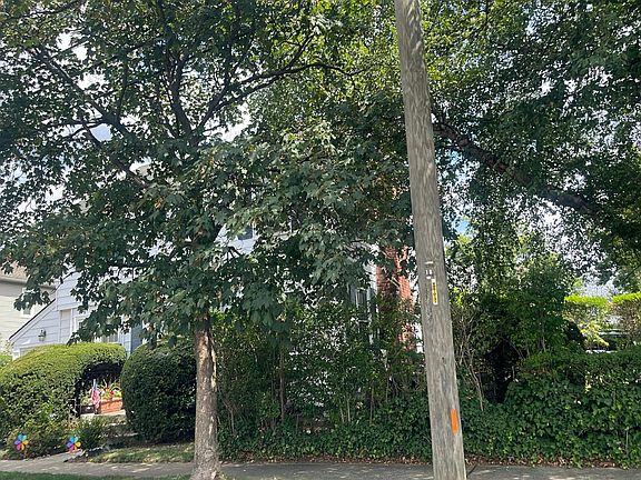 3rd image of 61 Stewart Ave