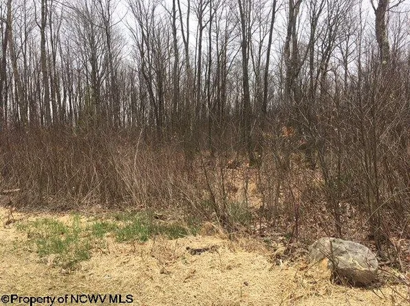 LOT 12 Mason Dixon Rd, Bruceton Mills, WV 26525