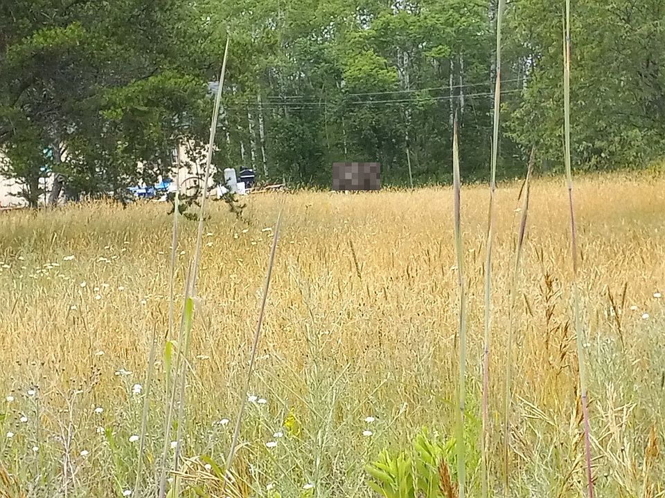 2nd image of 1610 McKee Rd