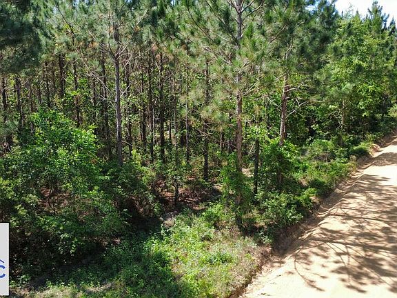 3rd image of TRACT 9 Sunflower Rd