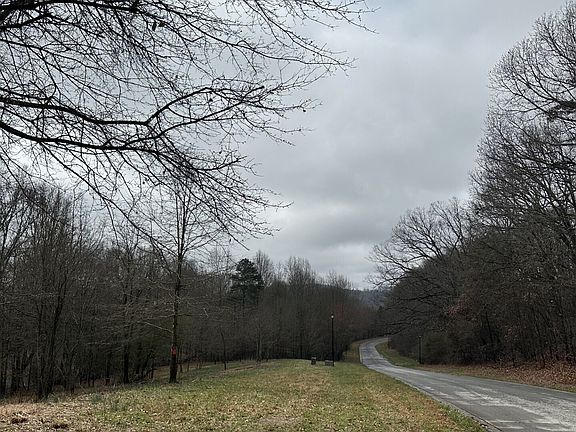 3rd image of 3462 Roy Parks Rd