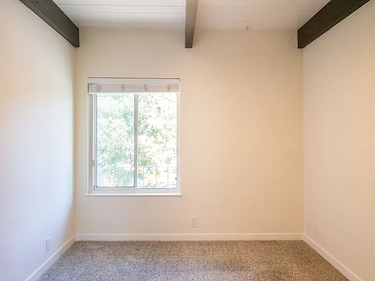 360 Jean St #5 — Photo 18