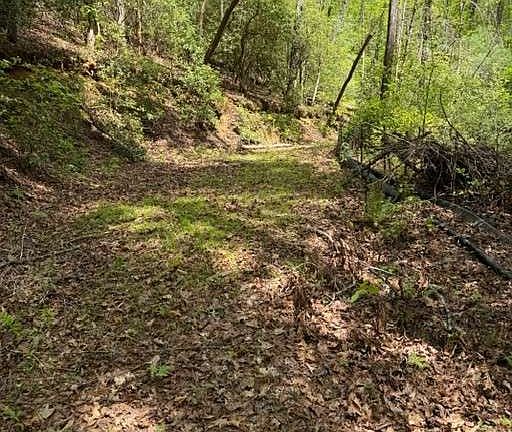 3rd image of 348 Hemlock Trl