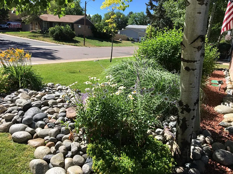 Front Yard