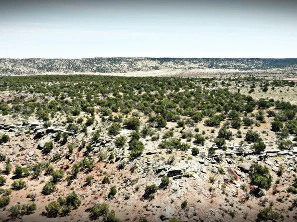 22 Country Ln #B8537, Concho, AZ 85924