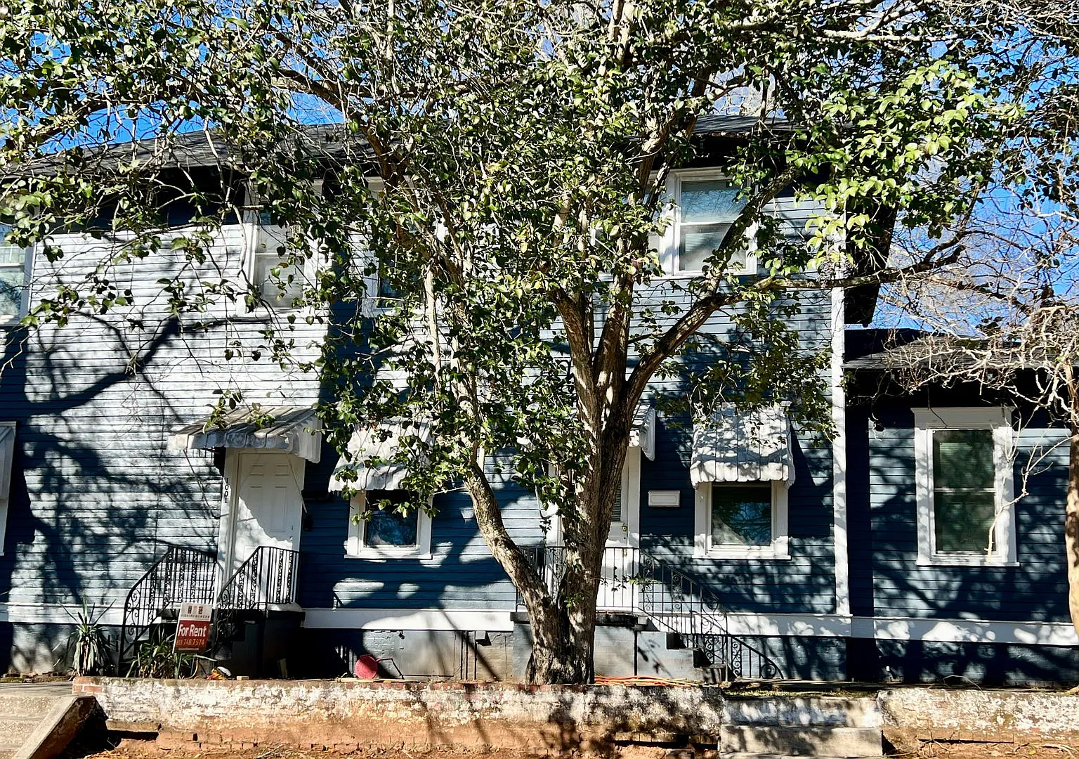 Earlewood apartment — Photo 2